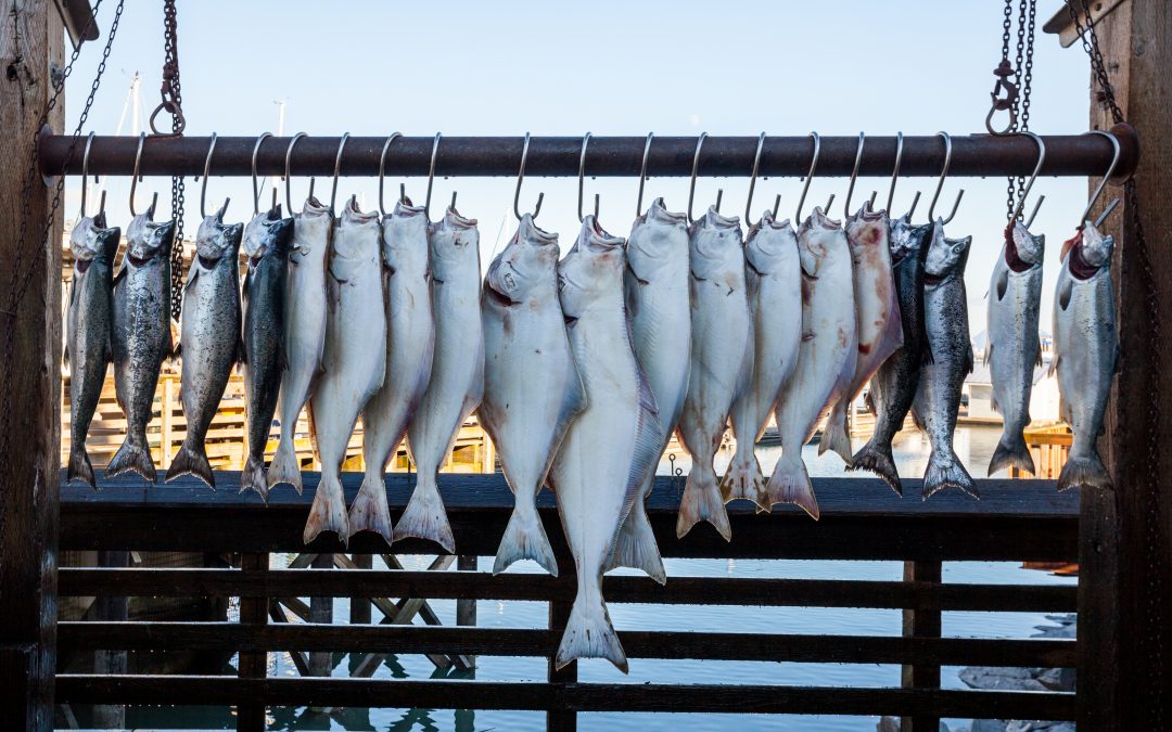 OTR Health answers the question – Is fish oil helpful?